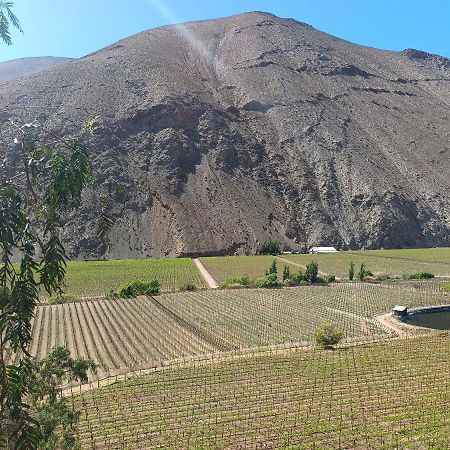 Ladera Loft Pisco Elqui Villa Exterior photo