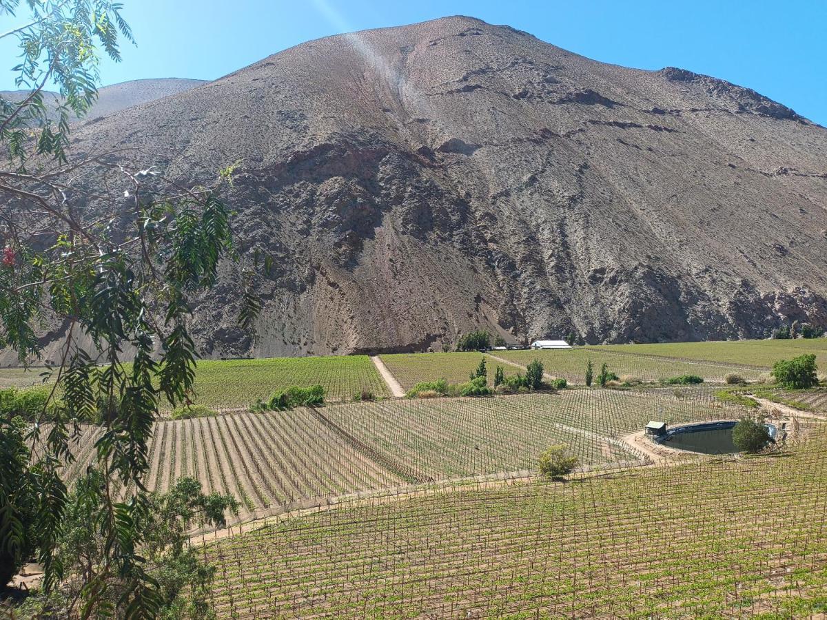 Ladera Loft Pisco Elqui Villa Exterior photo